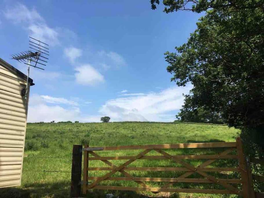 Park Gate, Colyton, Farm,Near Beaches-'Annie' Exteriér fotografie